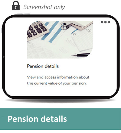 Screen pic DEETS 4 400px.jpg