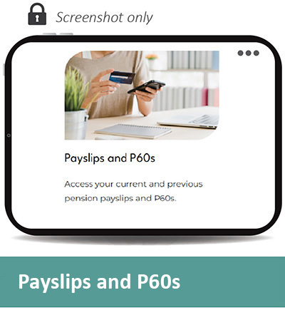 Screen pic PAY 3 400px.jpg