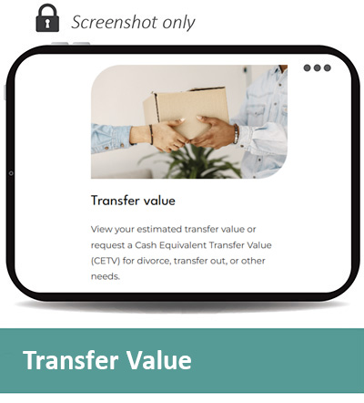 Screen pic TRAN 6 400px.jpg
