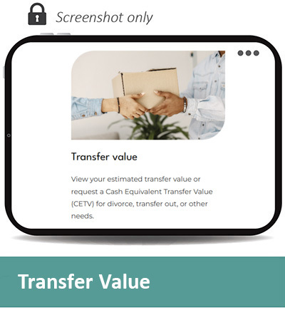 Screen pic TRAN 6 400px.jpg