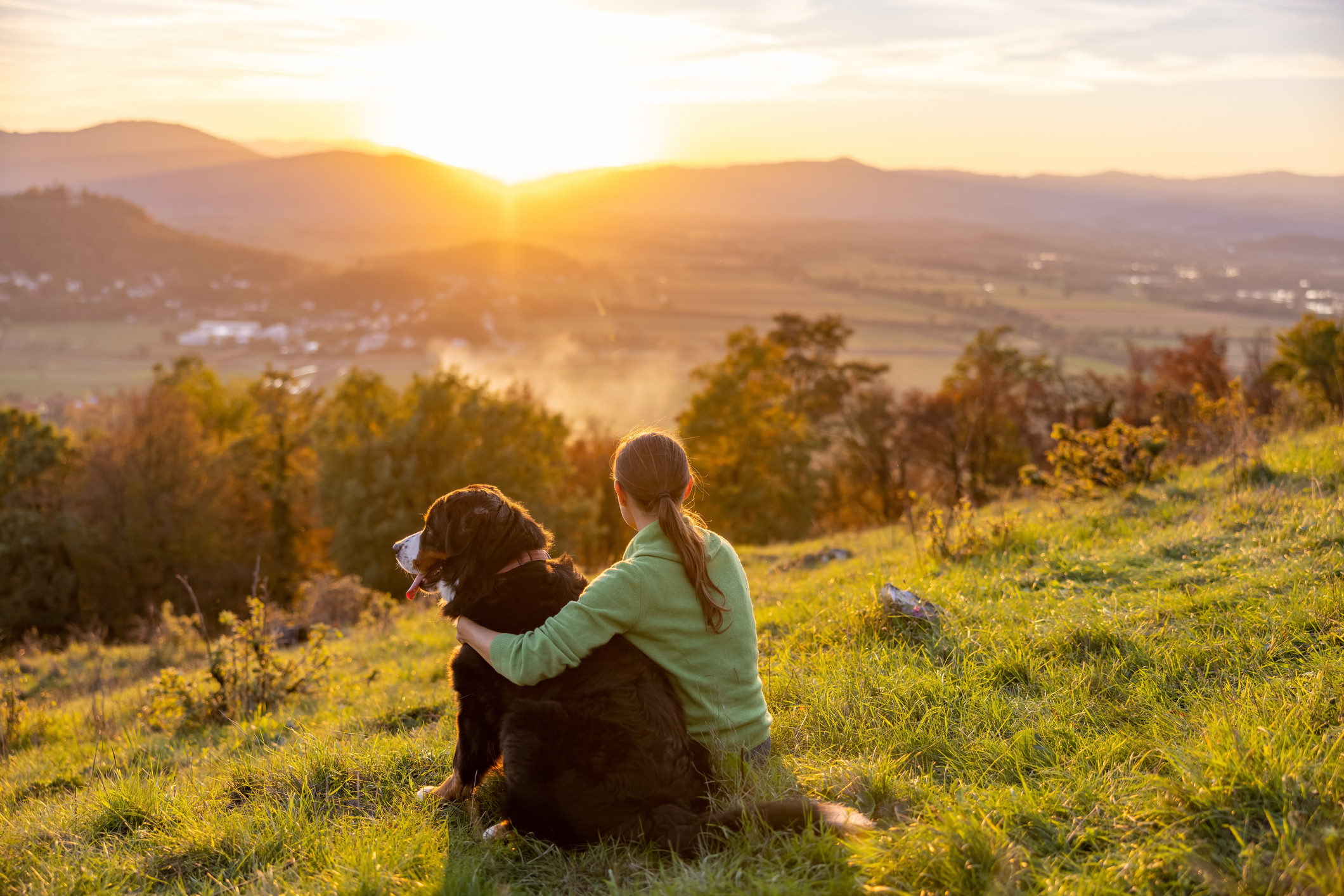 Dog Hill Sitting