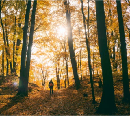 man in woods in autumn