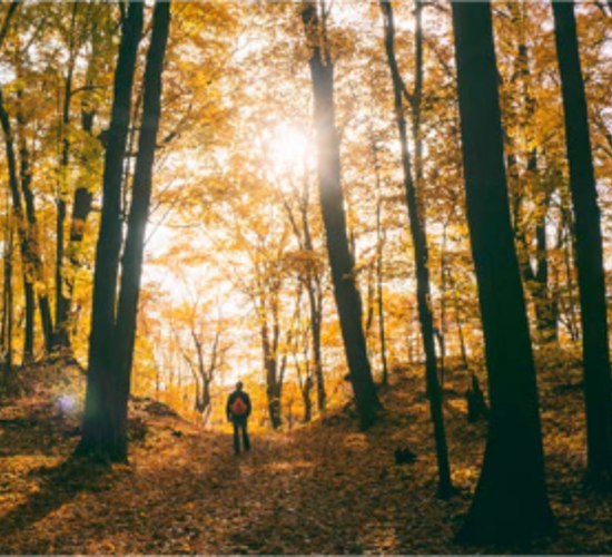 man in woods in autumn