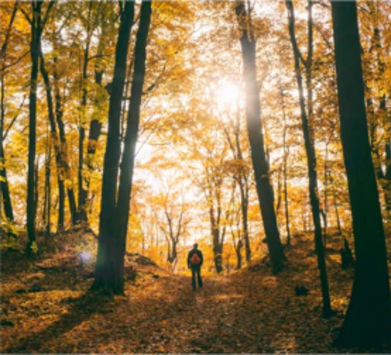 man in woods in autumn